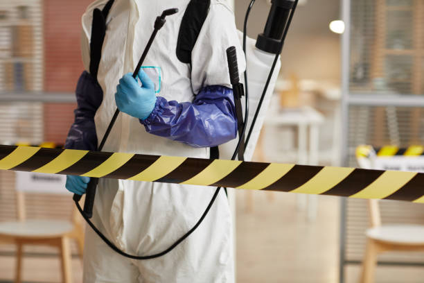 Professional Sewage Cleanup technician working in Riverdale, NE